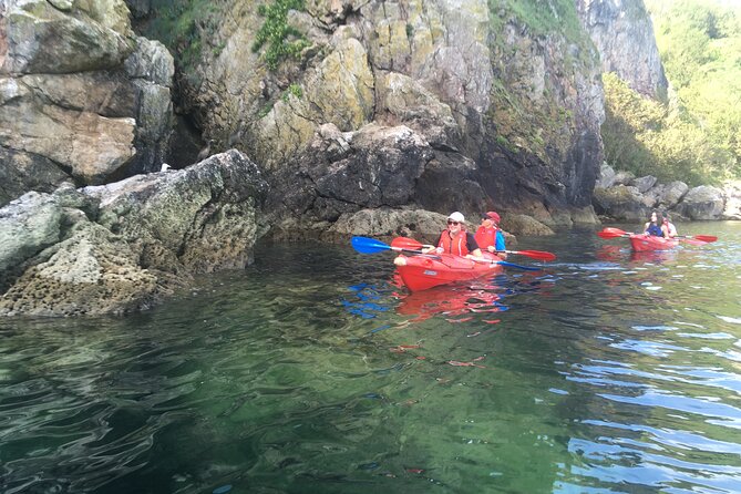 Guided Wildlife and Sea Cave Kayak Safari in English Riviera - Accessibility and Booking Details