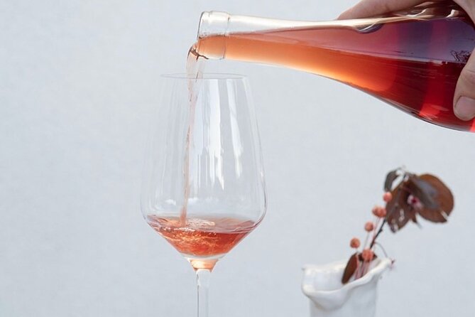 Guided Wine Tasting in Sebastopol With Local Sommelière - Key Points