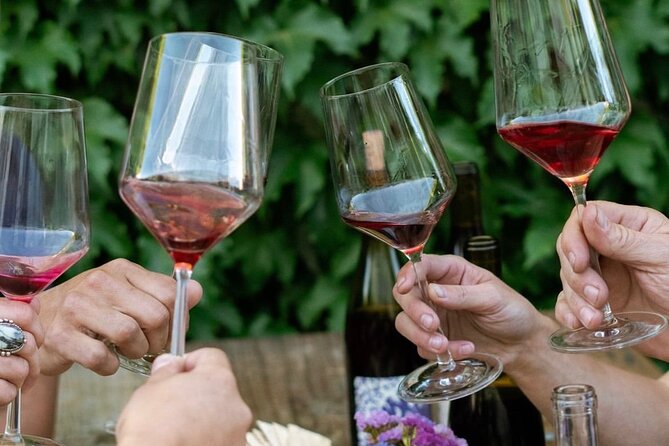 Guided Wine Tasting in Sebastopol With Local Sommelière - Overview of the Wine Tasting Experience