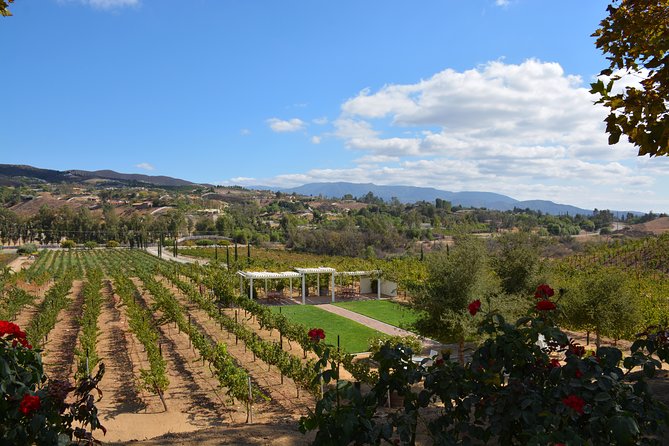 Guided Wine Tasting Tour of Temecula - Meeting Point