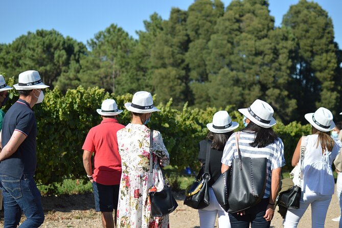 Guided Winery Tour and Wine Tasting in Pontevedra - Grape Varieties and Winemaking Processes