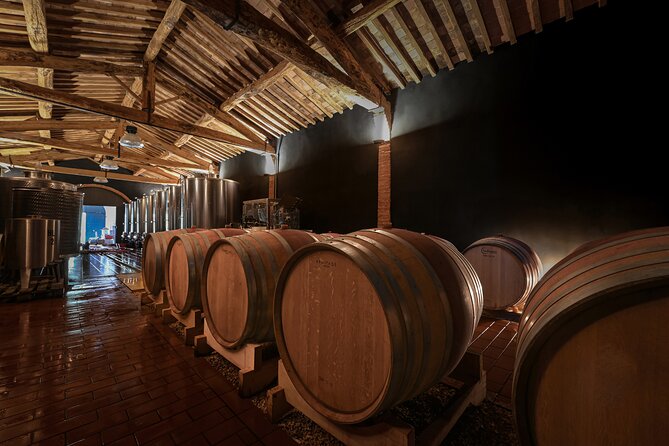 Guided Winery Tour and Wine Tasting in Siena - Tour Overview and Details