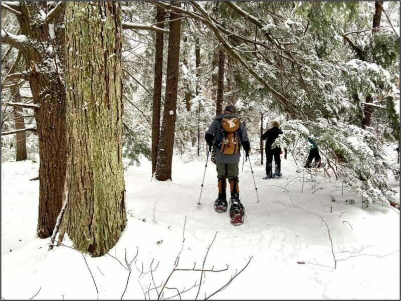 Guided Winter Snowshoe Adventure from Boston - Exploring the Guided Winter Snowshoe Adventure from Boston