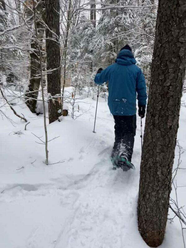 Guided Winter Snowshoe Adventure from Boston - The Experience and What Travelers Say