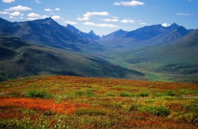 Guided Winter Wonderland Tour to Canada - Key Points