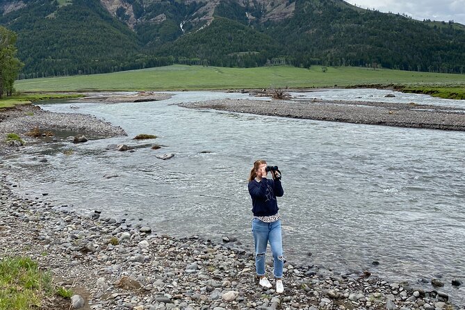 Guided Yellowstone National Park Trip - Pickup and Meeting Options