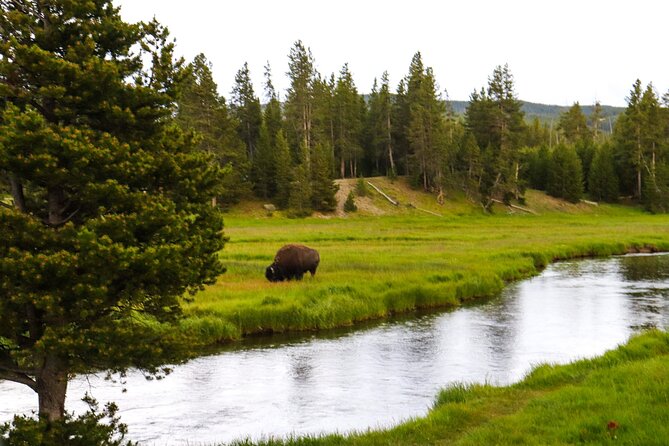 Guided Yellowstone National Park Trip - Traveler Considerations