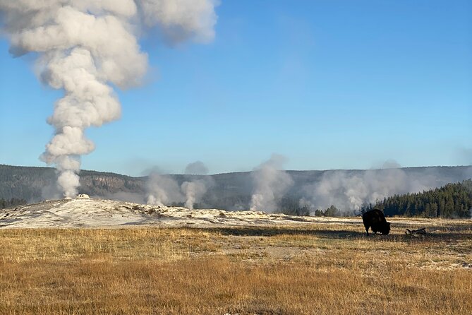 Guided Yellowstone National Park Trip - Booking and Cancellation