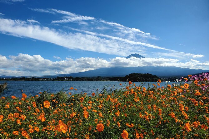 Guided Yokohama Port to Mt. Fuji Private Tour GREEN NUMBER PLATES - Inclusions