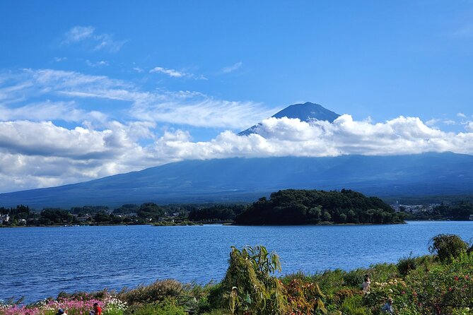 Guided Yokohama Port to Mt. Fuji Private Tour GREEN NUMBER PLATES - Additional Information
