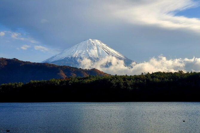 Guided Yokohama Port to Mt. Fuji Private Tour GREEN NUMBER PLATES - Booking and Availability
