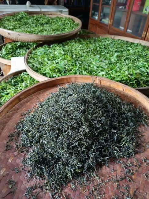 Guilin: City Tour with Elephant Hill & Ming Tea Tasting - A Closer Look at the Experience