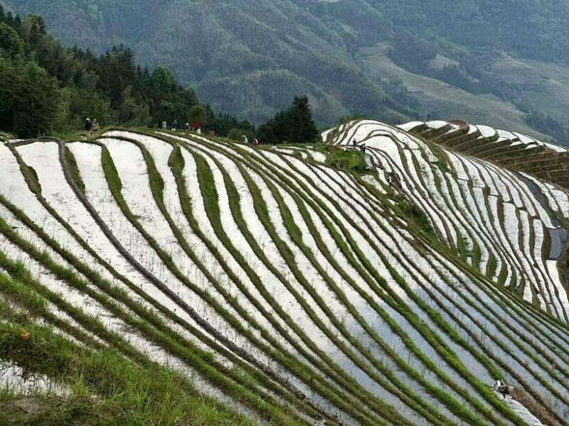 Guilin: Day tour of Longji Rice Terraces and Yangshuo - The Sum Up