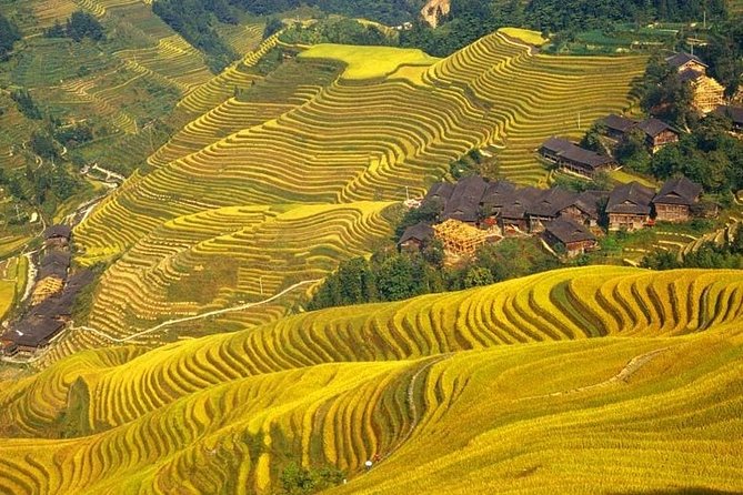 Guilin Day Trip: Dragons Backbone Rice Terraces & Pingan Zhuang Ethnic Village - Inclusions and Exclusions