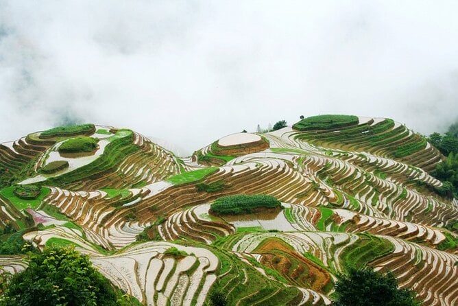 Guilin Day Trip: Dragons Backbone Rice Terraces & Pingan Zhuang Ethnic Village - Pickup and Drop-off