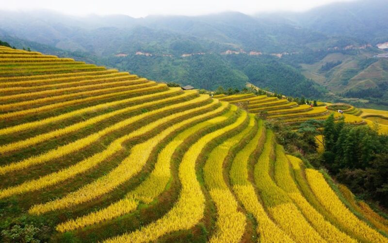 Guilin: Longji Rice Terraces and Minority Village Tour - Key Points