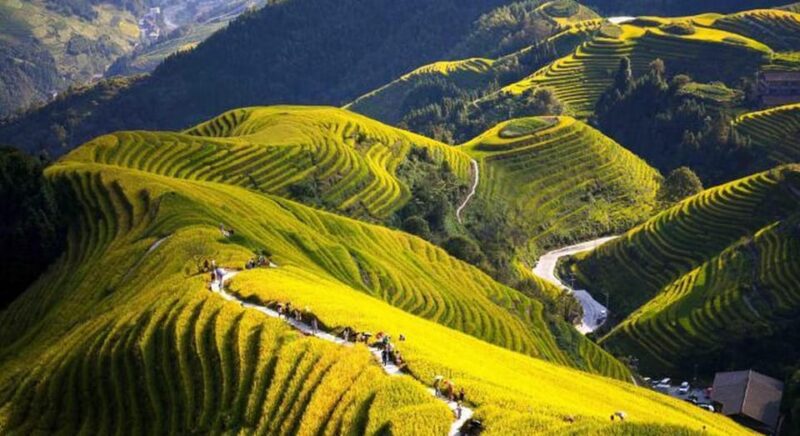 Guilin: Longji Rice Terraces and Minority Village Tour - Booking Information