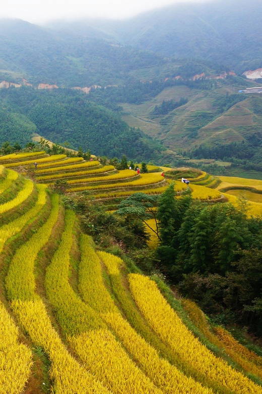 Guilin: Longji Rice Terraces and Minority Village Tour - Scenic Countryside Drive