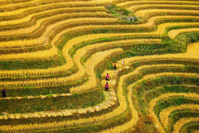 Guilin: Longji Rice Terraces and Villages Private Day Tour - Pickup and Transportation