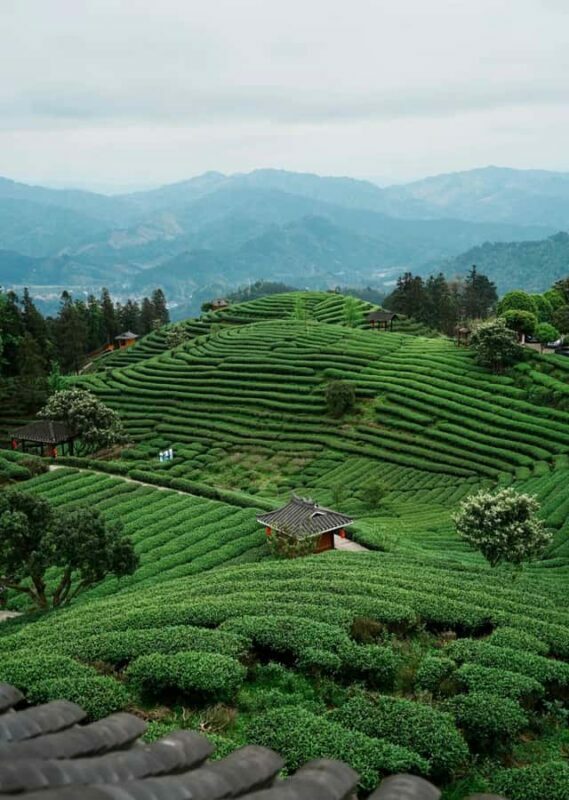 Guilin to Sanjiang: Dong Village, Local Lunch & Tea Mountain - Exploring Dong Villages: Maan, Pingzhai, & Yanzhai