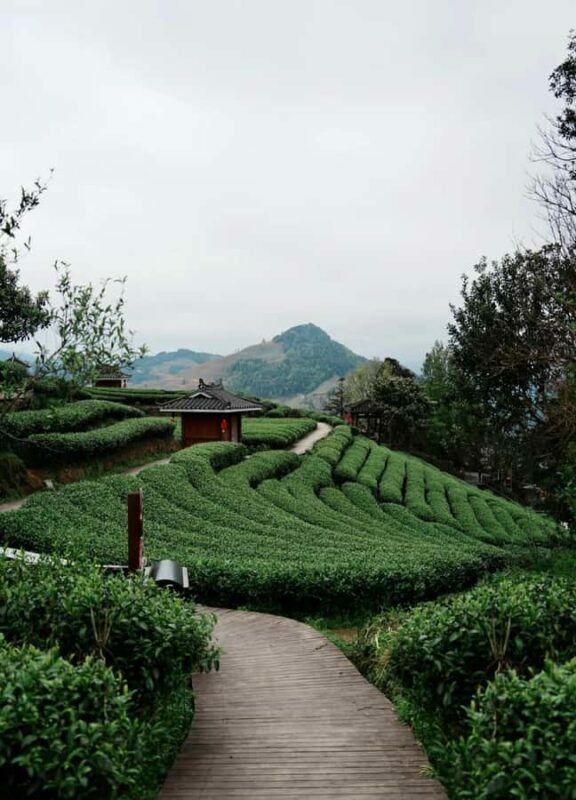 Guilin to Sanjiang: Dong Village, Local Lunch & Tea Mountain - Practicalities & Tips
