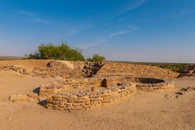 Gujarat Archaeological & Natural Wonders - Marveling at Gir National Park