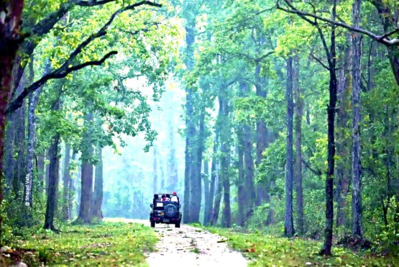 Gujarat: Gir National Park Guided Jeep Safari - Diverse Ecosystems and Wildlife