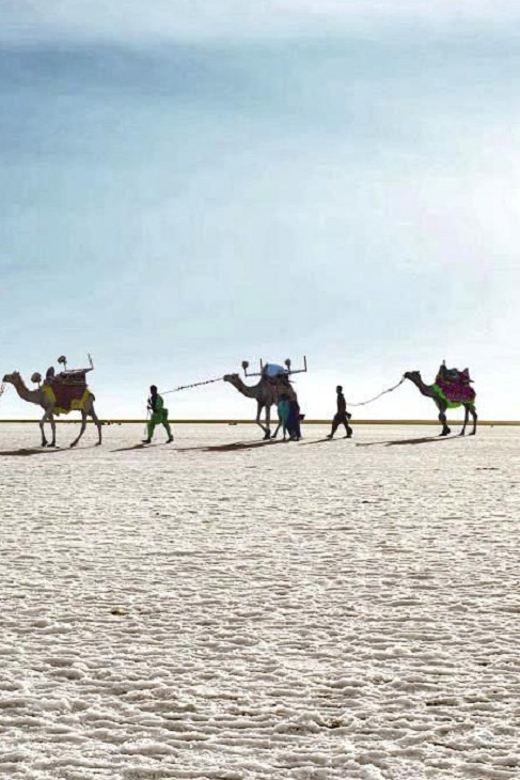 Gujarat Offbeat Tour 6 Night / 7 Days - Little Rann of Kutch