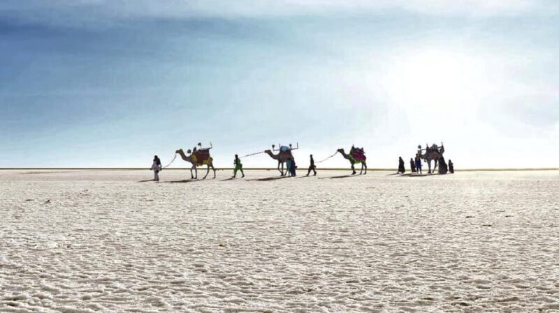 Gujarat Offbeat Tour 6 Night / 7 Days - Bhuj and Kutch