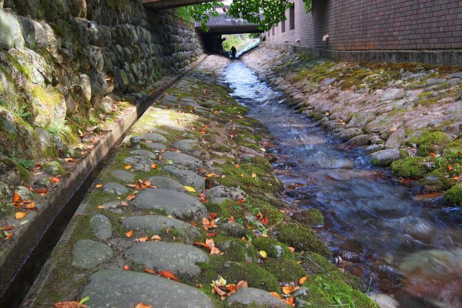 Gujo Hachiman All Must-Sees Full Day Private Tour With Government-Licensed Guide - Additional Information