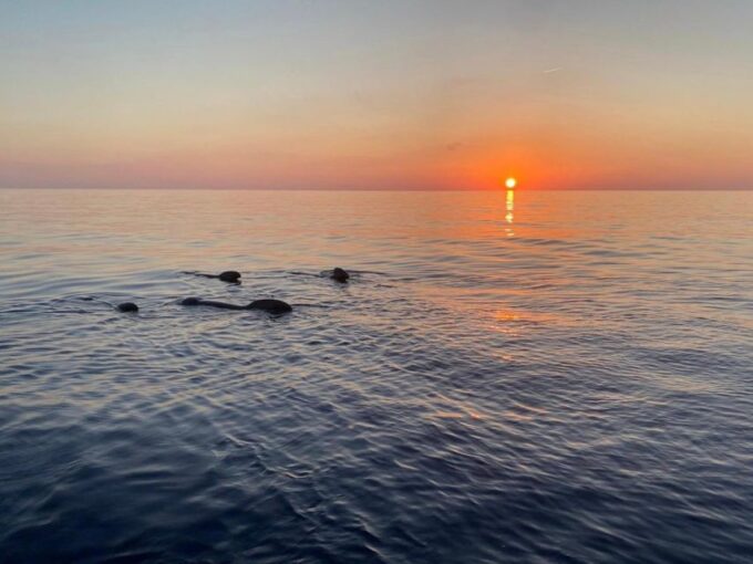 Gulf of Calvi & Sunset Aperitif - Customer Reviews