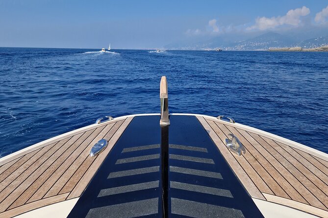 Gulf of Portofino Private Boat Tour - Customer Feedback and Highlights