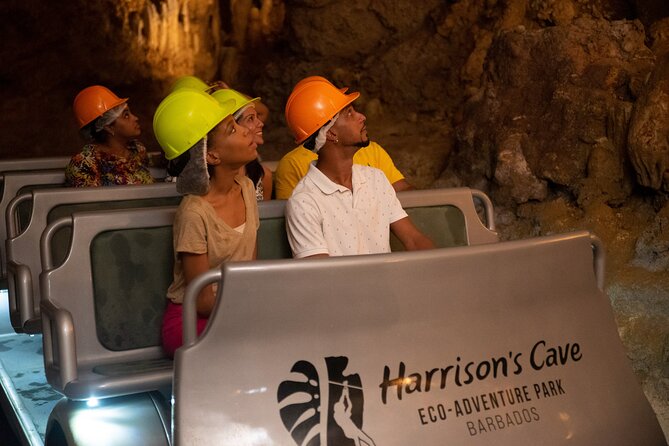 Gully Challenge Course & Cave Tour at Harrisons Cave by Chukka - Gully Challenge Course