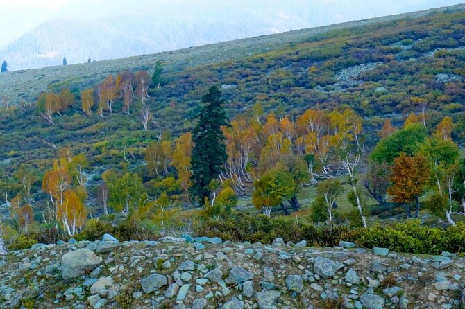 Gulmarg Adventure: a Thrilling Day Trip From Srinagar - Inclusions and Pricing