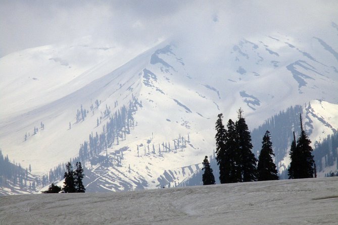 Gulmarg Adventure: a Thrilling Day Trip From Srinagar - Reviews and Cancellation Policy