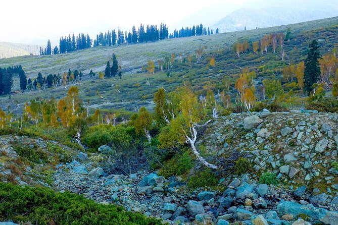 Gulmarg Adventure: a Thrilling Day Trip From Srinagar - Exploring the Town