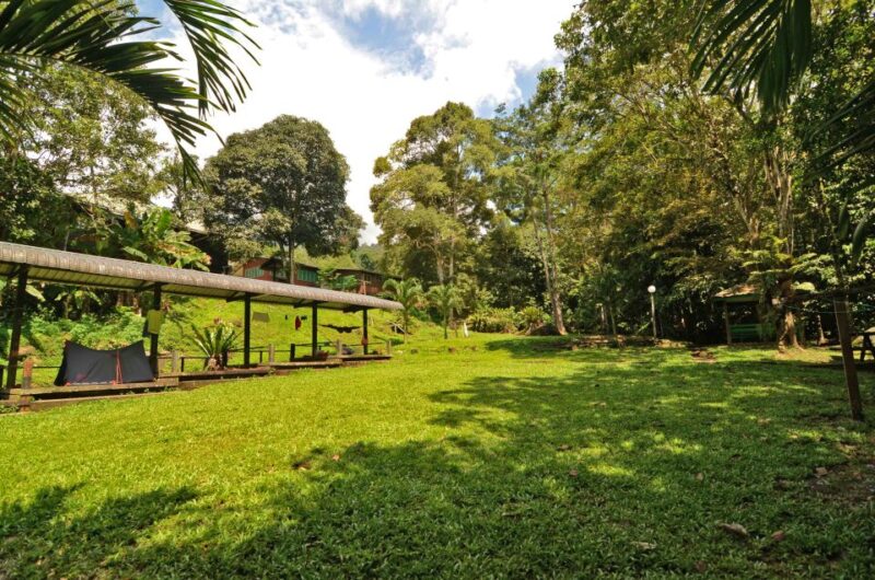 Gunung Gading National Park Tour Kuching Sarawak - Explore Gunung Gading National Park