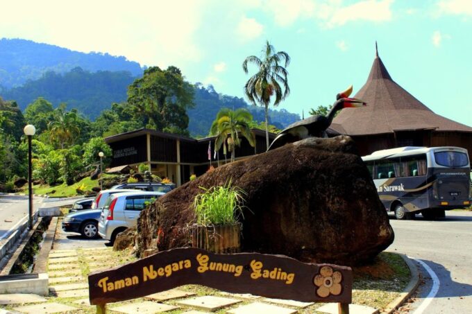 Gunung Gading National Park Tour Kuching Sarawak - Important Information for Visitors