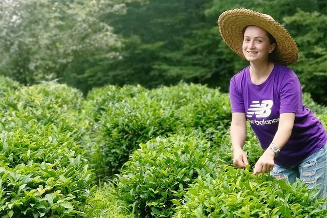 Guria Tour - Tea Road - Key Points