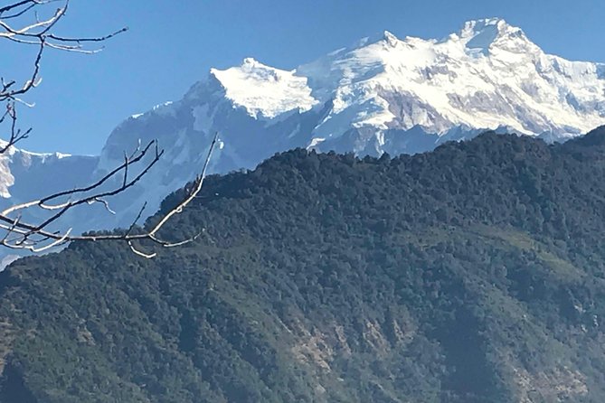 Gurung Village(Puma) Tour( No Permit Needed ) - Pricing and Cancellation Policy