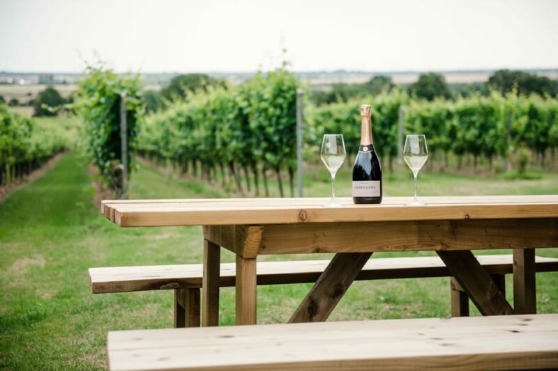Gusbourne Wine Tasting 2pm - Pricing and Reservations