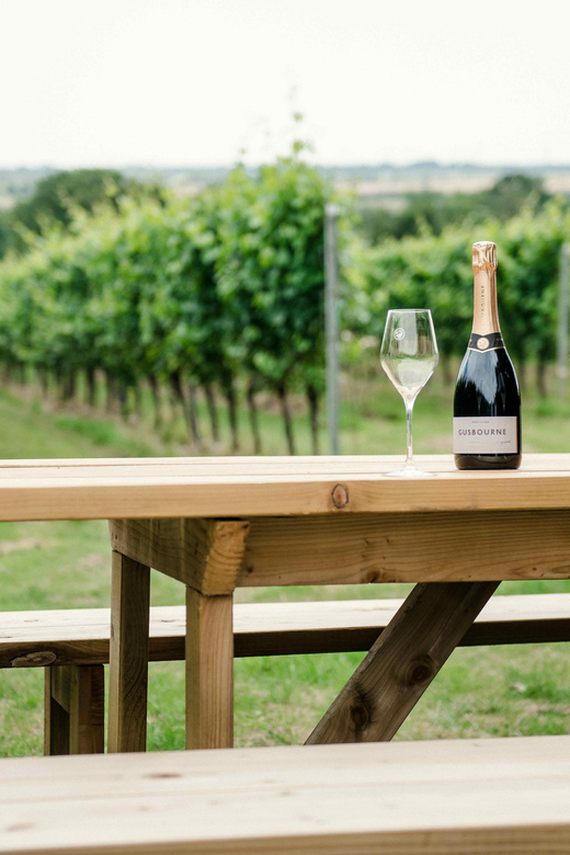 Gusbourne Wine Tasting 2pm - Estate Scenery