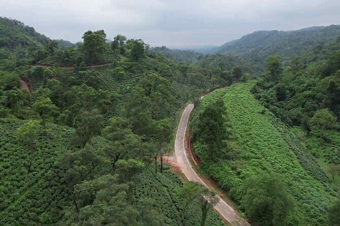 Guwahati Tea Garden tour @ Amchong - An In-Depth Look at the Tour Itself