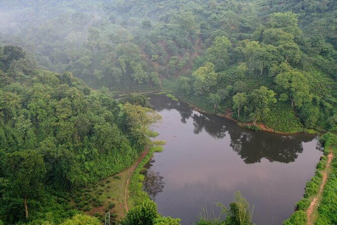 Guwahati Tea Garden Tour with Lunch & Hi Tea (Premium Experience) - A Closer Look at the Guwahati Tea Garden Tour