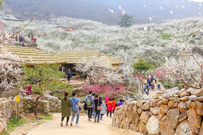 Gwangyang Maewha Flower and Jeonju Hanok Village 1 Day Trip From Seoul - Cultural Experience