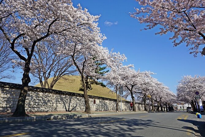 Gyeongju Best Spots Private Tour With Tourguide - Seokguram