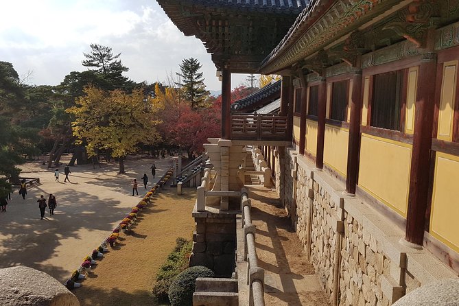 Gyeongju City Tour From BUSAN - UNESCO World Heritage Site - Cancellation Policy