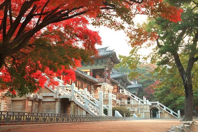 Gyeongju ONE-DAY Highlights for PRIVATE CRUISE PASSENGERS - Inclusion Details
