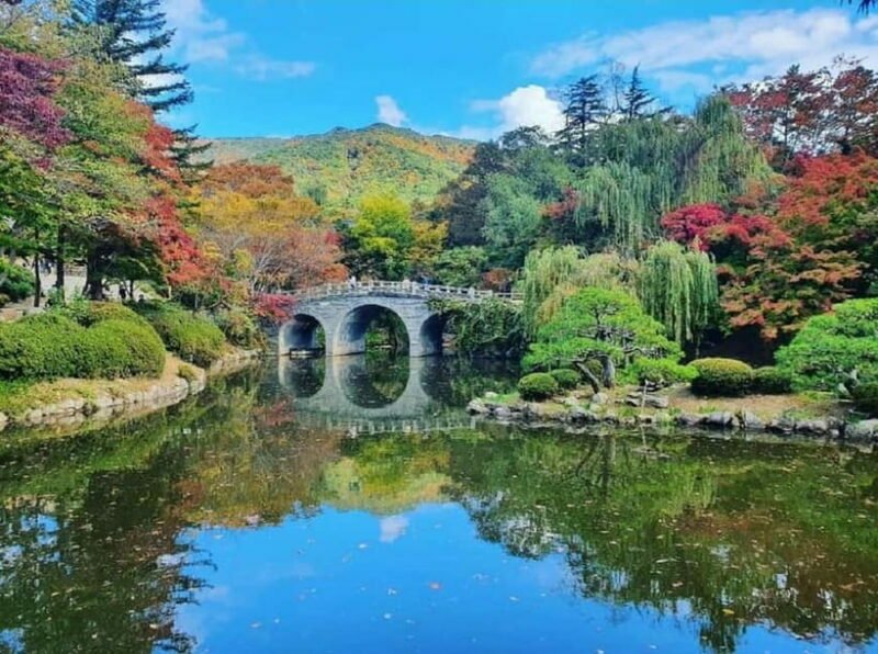 Gyeongju: Private Car Tour with a Licensed Tour Guide - Who Will Love This Tour?
