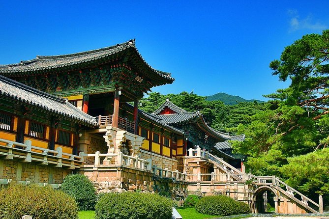 Gyeongju Private Tour With Hidden Gem by Local Tour Guide - Good To Know